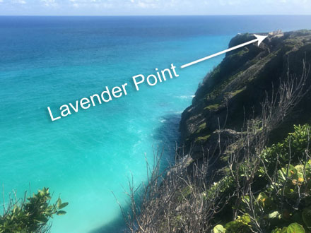 Lavender Point Cliff View