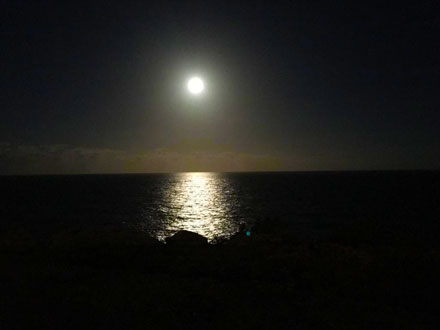 Lavender Point Moonlight