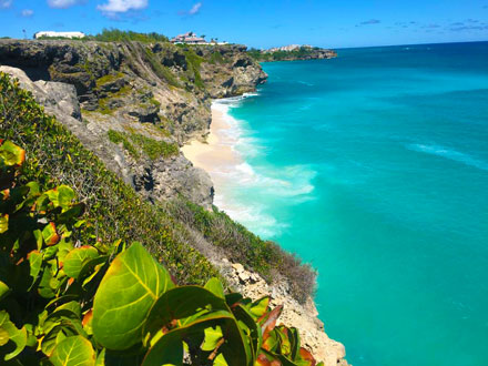 Lavender Point Northern View