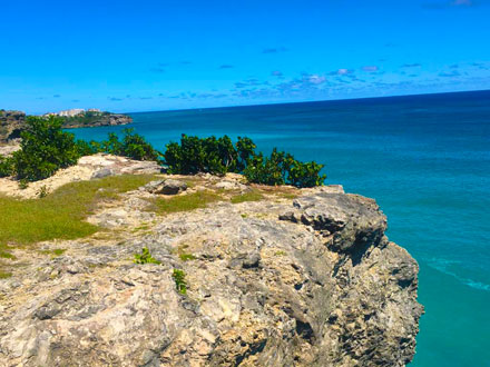 Lavender Point Northern View