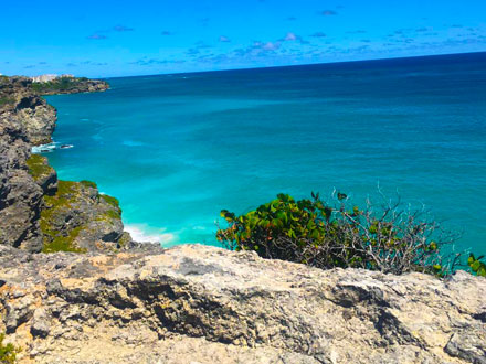 Lavender Point Northern View