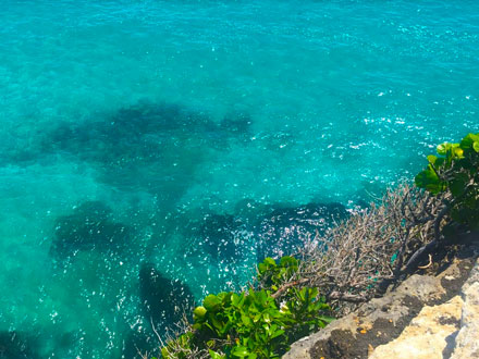 Lavender Point Northern View