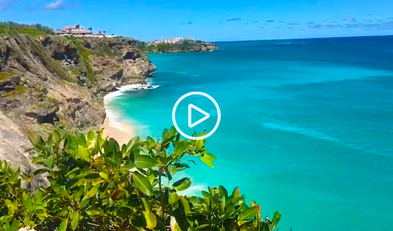 Lavender Point July View