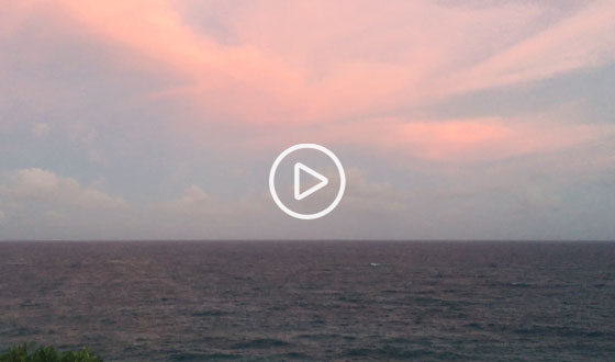 Lavender Point Pink Skies Video