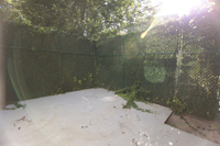 1705 N. Willington St.